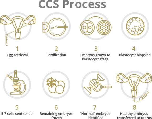 CCS Process