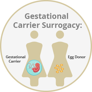 Gestational carrier surrogacy diagram